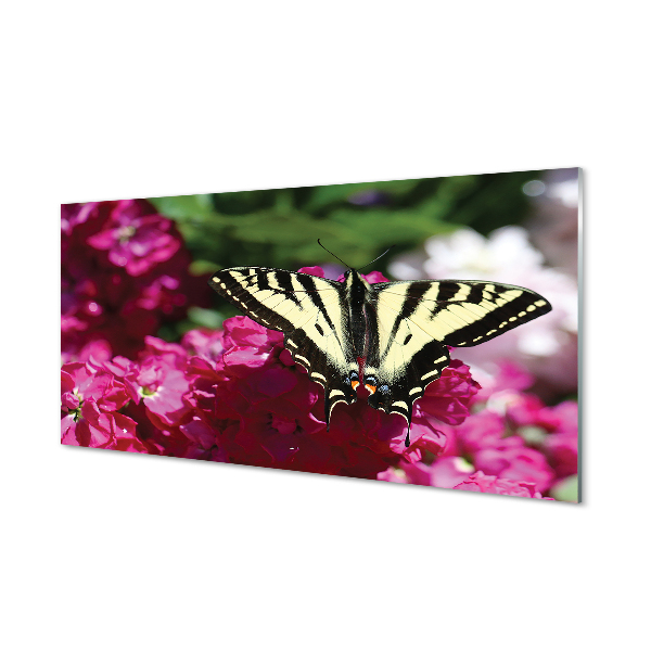 Obraz na akrylátovom skle Kvety motýľ