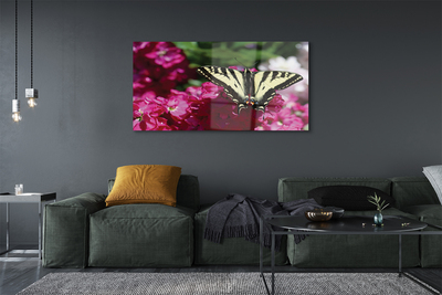 Obraz na akrylátovom skle Kvety motýľ