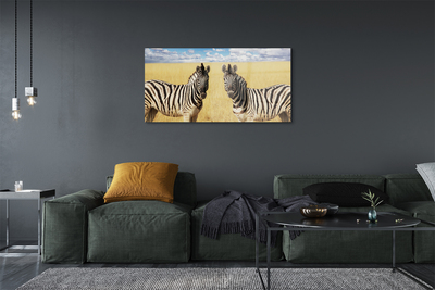 Obraz na akrylátovom skle Zebra box