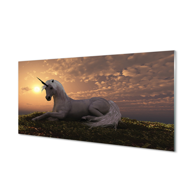 Obraz na akrylátovom skle Unicorn horské slnko
