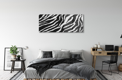 Obraz na akrylátovom skle Zebra fur