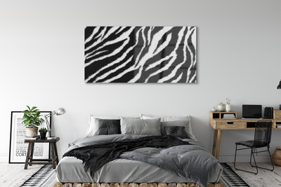Obraz na akrylátovom skle Zebra fur