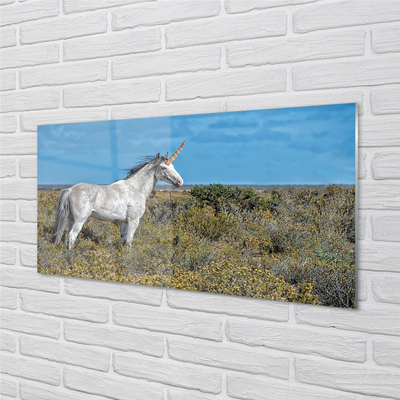 Obraz na akrylátovom skle Unicorn golf
