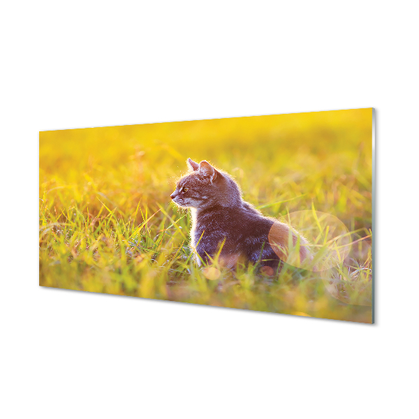 Obraz na akrylátovom skle Lov cat