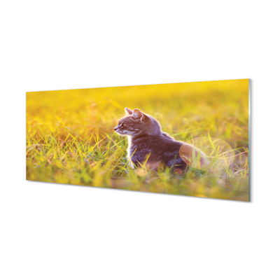Obraz na akrylátovom skle Lov cat