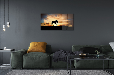 Obraz na akrylátovom skle Unicorn sunset