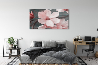 Obraz plexi Ružové kvety