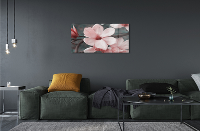 Obraz plexi Ružové kvety