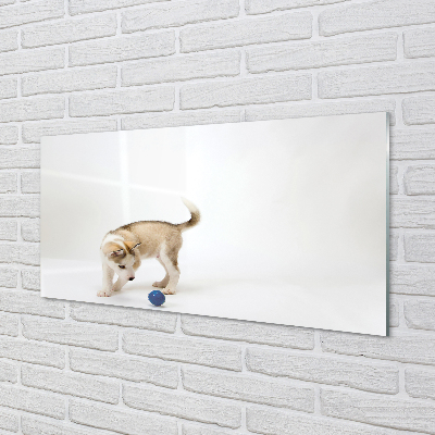 Obraz na akrylátovom skle Hrať s tým psom