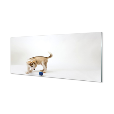 Obraz na akrylátovom skle Hrať s tým psom