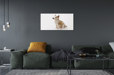 Obraz na akrylátovom skle Sediaci malého psa