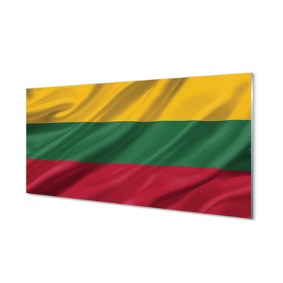 Obraz plexi Vlajka litvy