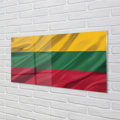 Obraz plexi Vlajka litvy