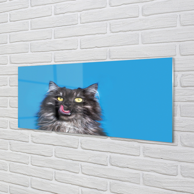 Obraz na akrylátovom skle Oblizujący mačka