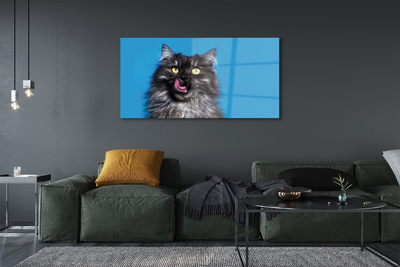Obraz na akrylátovom skle Oblizujący mačka