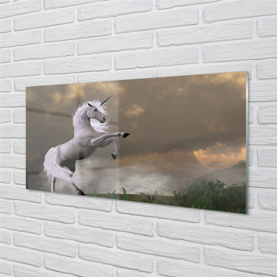 Obraz na akrylátovom skle Unicorn top