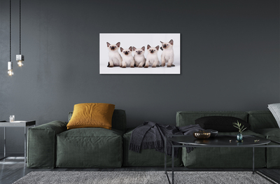 Obraz na akrylátovom skle Malé mačky
