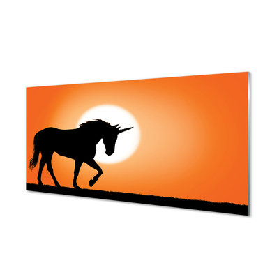 Obraz na akrylátovom skle Sunset unicorn