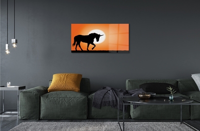 Obraz na akrylátovom skle Sunset unicorn