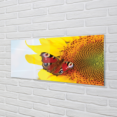 Obraz na akrylátovom skle Slnečnica motýľ