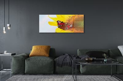 Obraz na akrylátovom skle Slnečnica motýľ