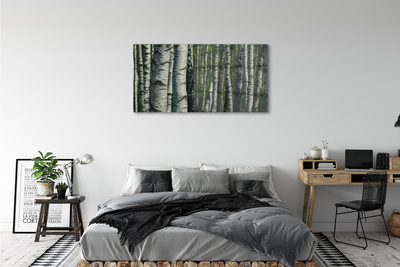 Obraz plexi Brezového lesa