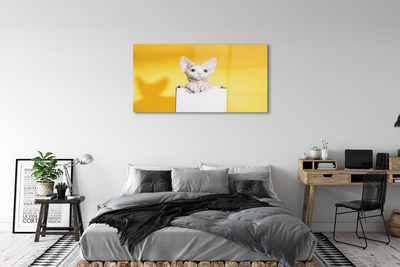 Obraz na akrylátovom skle Sediaci mačka