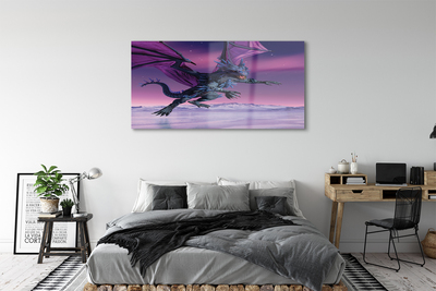 Obraz plexi Dragon pestré oblohy