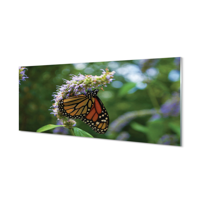 Obraz na akrylátovom skle Kvet farebný motýľ