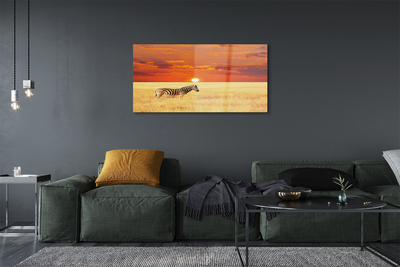 Obraz na akrylátovom skle Zebra poľa sunset