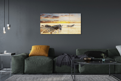 Obraz na akrylátovom skle Zebry poľa sunset