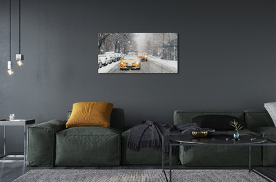Obraz plexi Zime sneh limuzínový servis