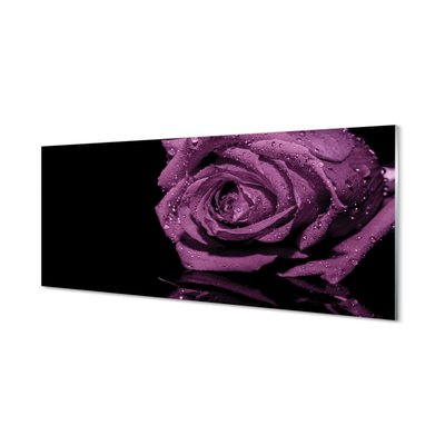 Obraz plexi Purpurová ruža