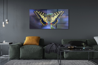 Obraz na akrylátovom skle Motýľ na kvetine