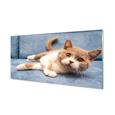 Obraz na akrylátovom skle Ležiace mačka