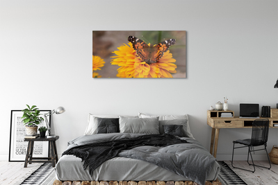 Obraz na akrylátovom skle Farebný motýľ kvetina