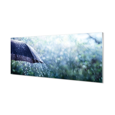 Obraz plexi Umbrella dažďovej kvapky