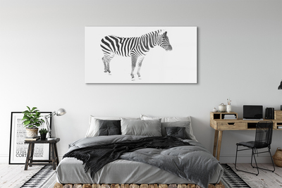 Obraz na akrylátovom skle Maľované zebra