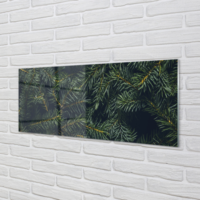 Obraz na akrylátovom skle Vianočný strom vetvičky
