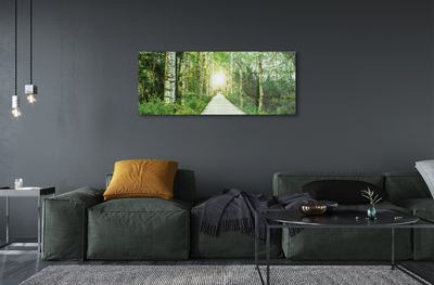 Obraz plexi Breza lesná cesta