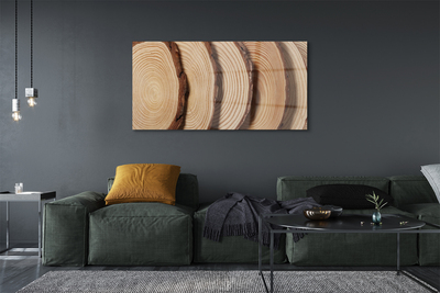 Obraz plexi Plátky obilia dreva