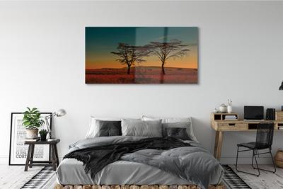 Obraz plexi Oblohy stromu