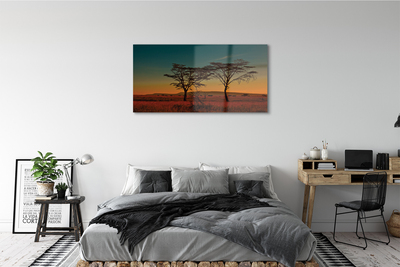 Obraz plexi Oblohy stromu
