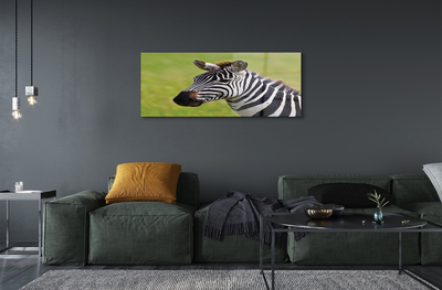 Obraz na akrylátovom skle Zebra