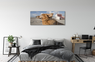 Obraz na akrylátovom skle Hnedý pes beach