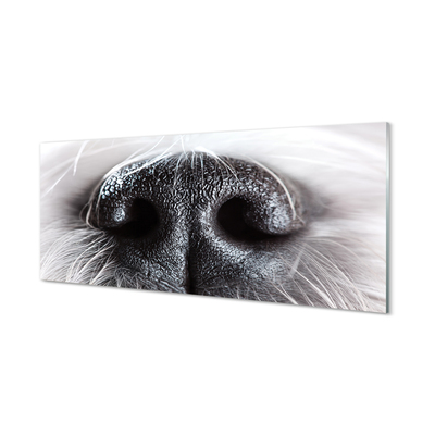 Obraz na akrylátovom skle Psie ňufák
