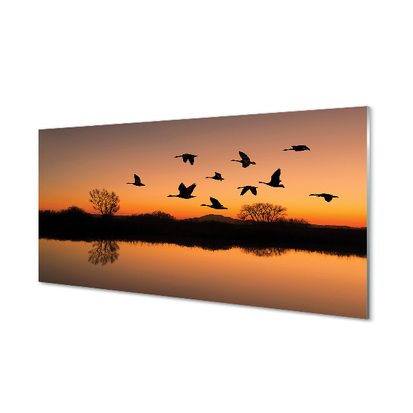Obraz na akrylátovom skle Lietajúce vtáky sunset