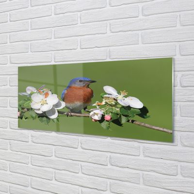 Obraz na akrylátovom skle Kvety farebné papagáj