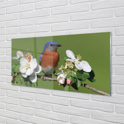 Obraz na akrylátovom skle Kvety farebné papagáj