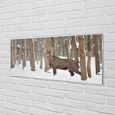 Obraz na akrylátovom skle Jeleň zimné les